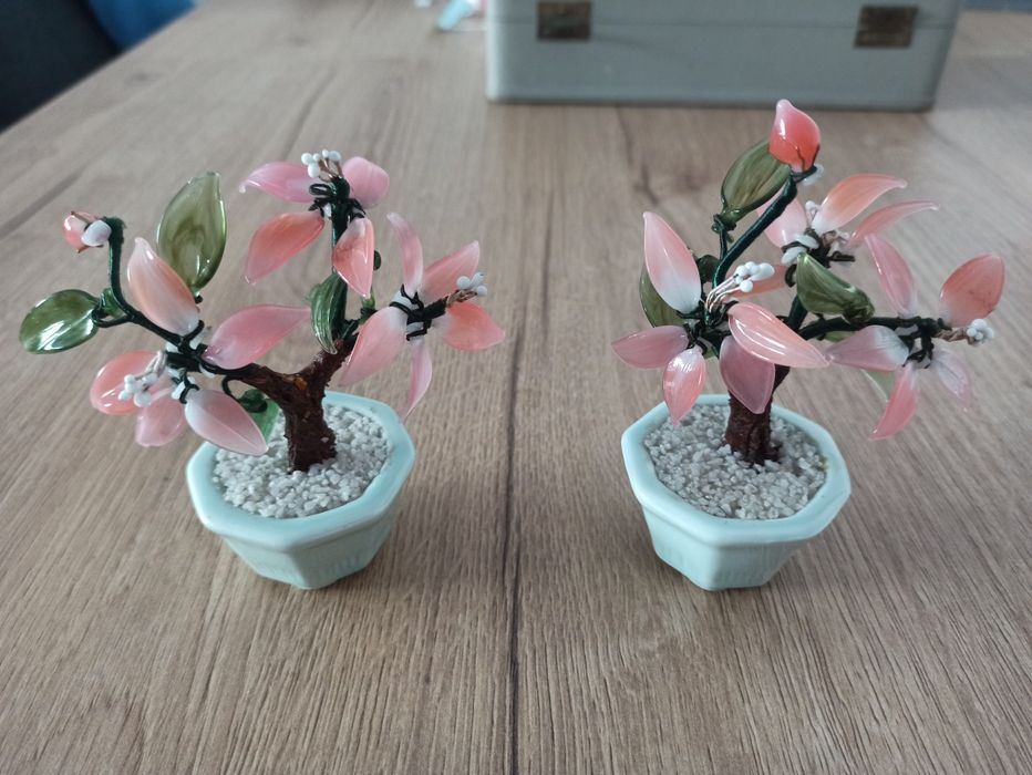 Jadeitowe drzewka bonsai