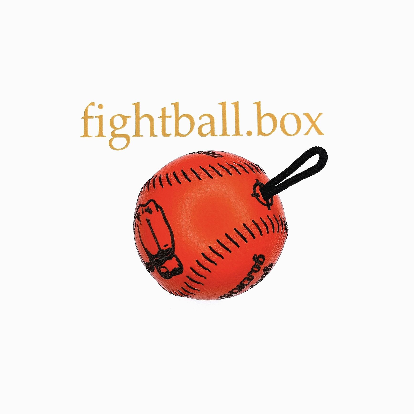 fightball box файт болл тренажёр для бокса мини груша мяч кожа файтбол
