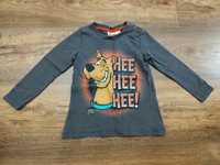 Bluzka dla chłopca Scooby Doo R.92