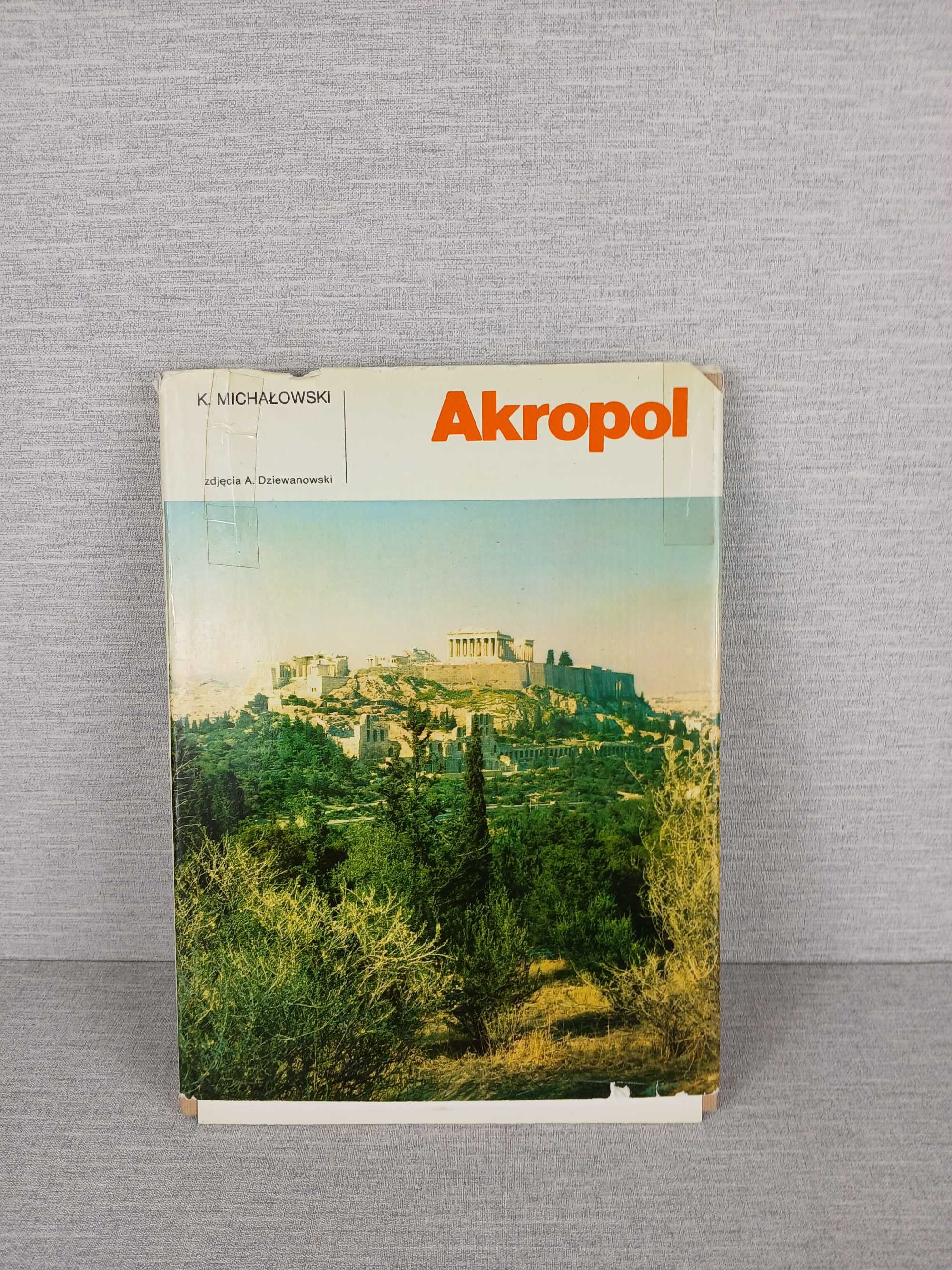 Album Akropol Michałowski & Dziewanowski ARKADY 1983