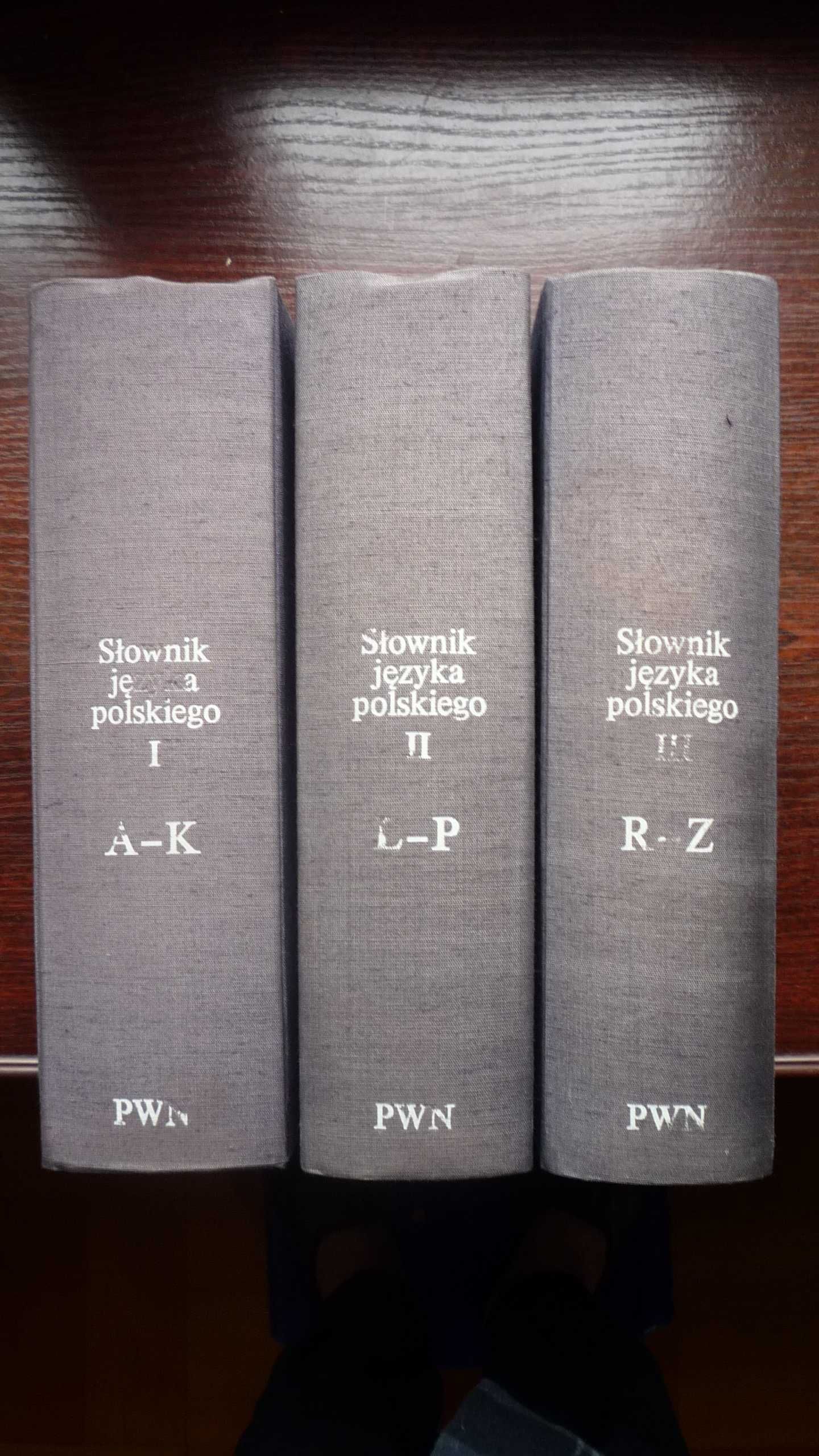 Okazyjnie odstąpię Słownik języka polskiego 3 tomy , stan idealny.