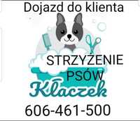 strzyzenie psow z dojazdem psi fryzjer salon groomer