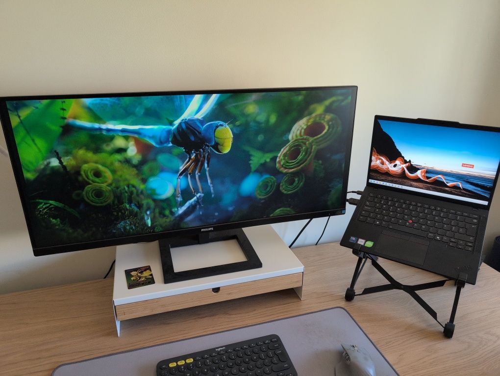 Monitor Philips 345E2