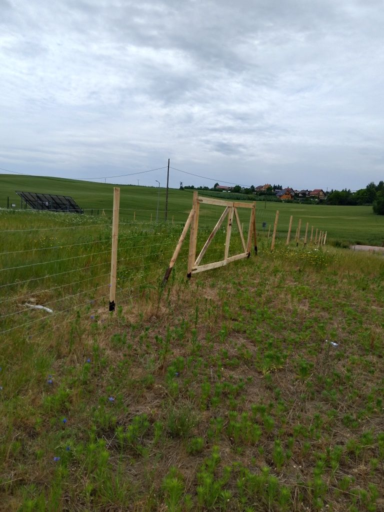 Ogrodzenie leśne tymczasowe budowlane