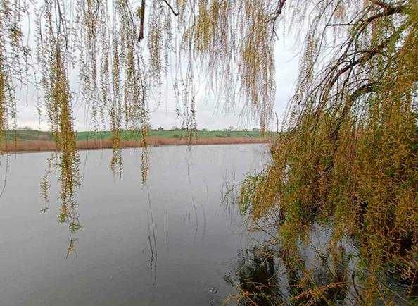 Дом у реки с камином и сауной, Великий Дальник.