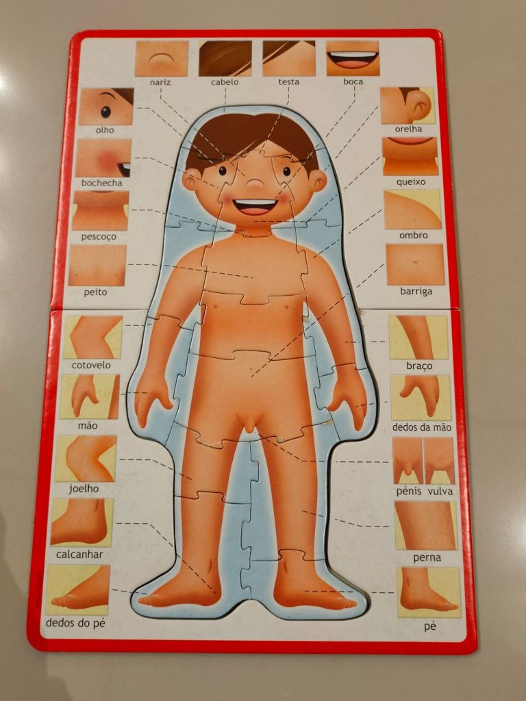 Brinquedo O Corpo Humano