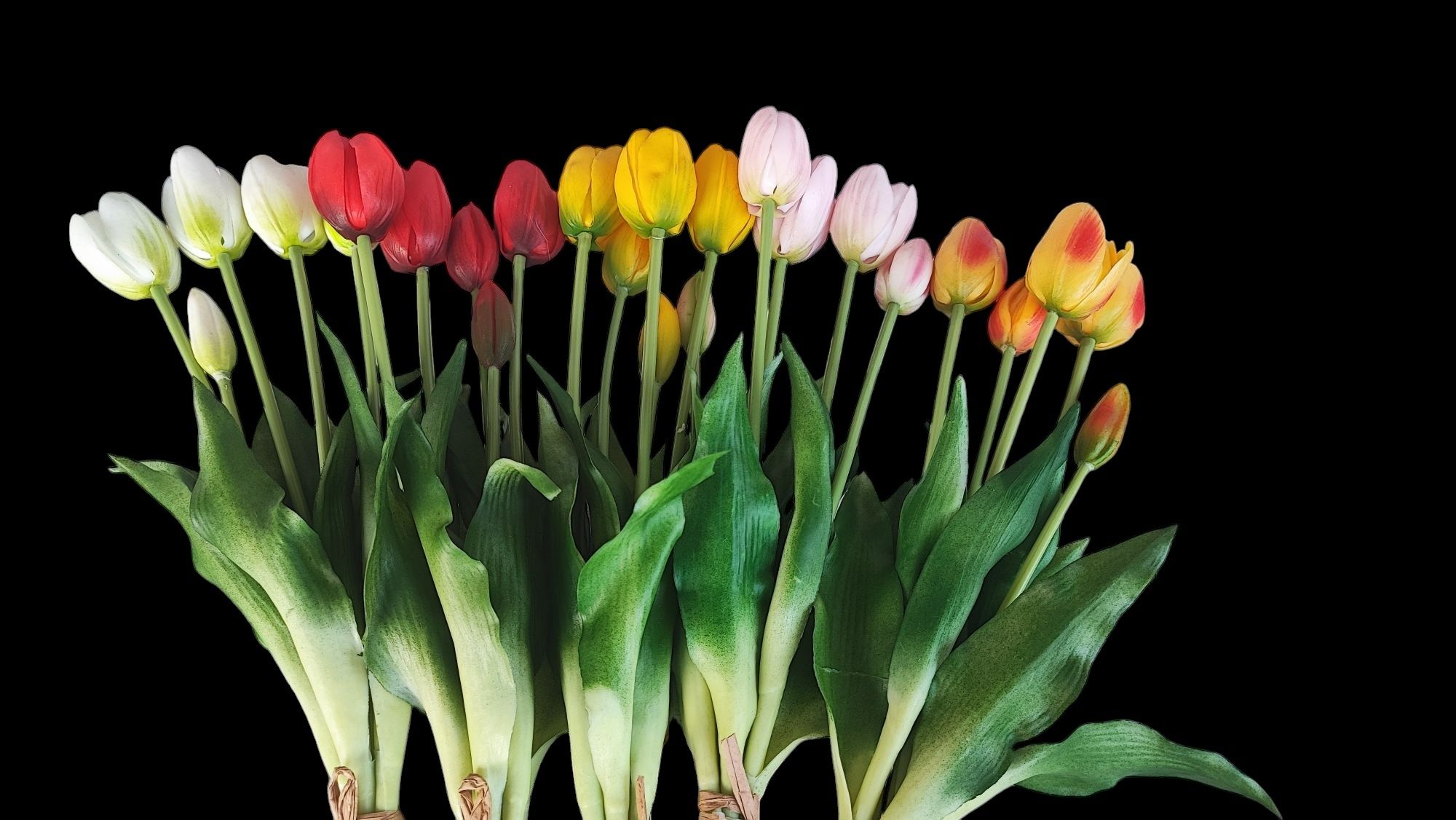 Bukiet 5 czerwonych tulipanów jak żywe.