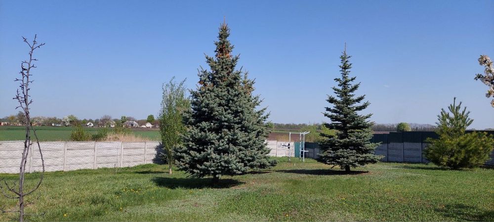 Елітний будинок з розкішним садом в Білоцерківському районі