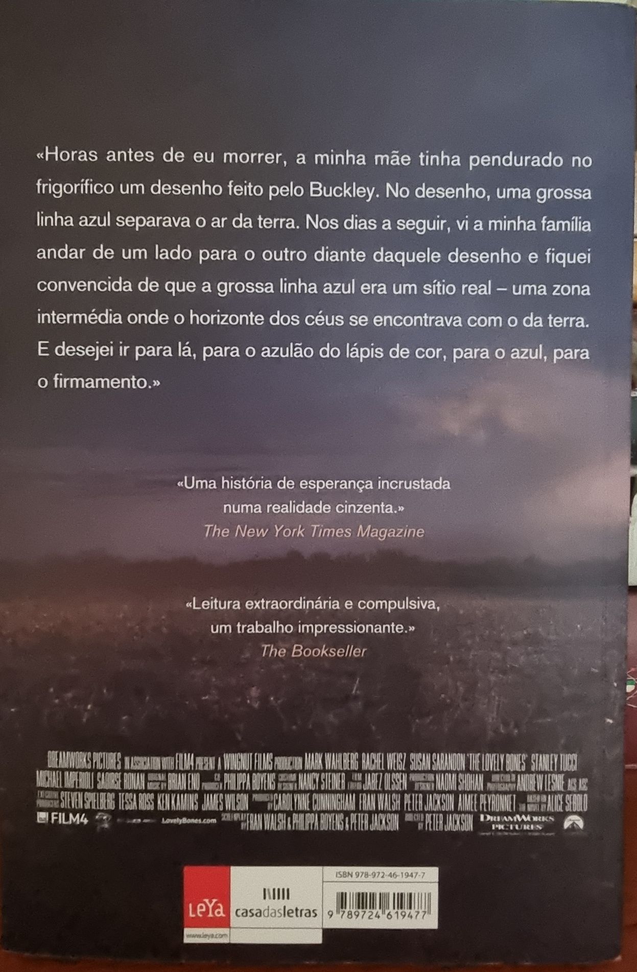 Livro "Visto do Céu"