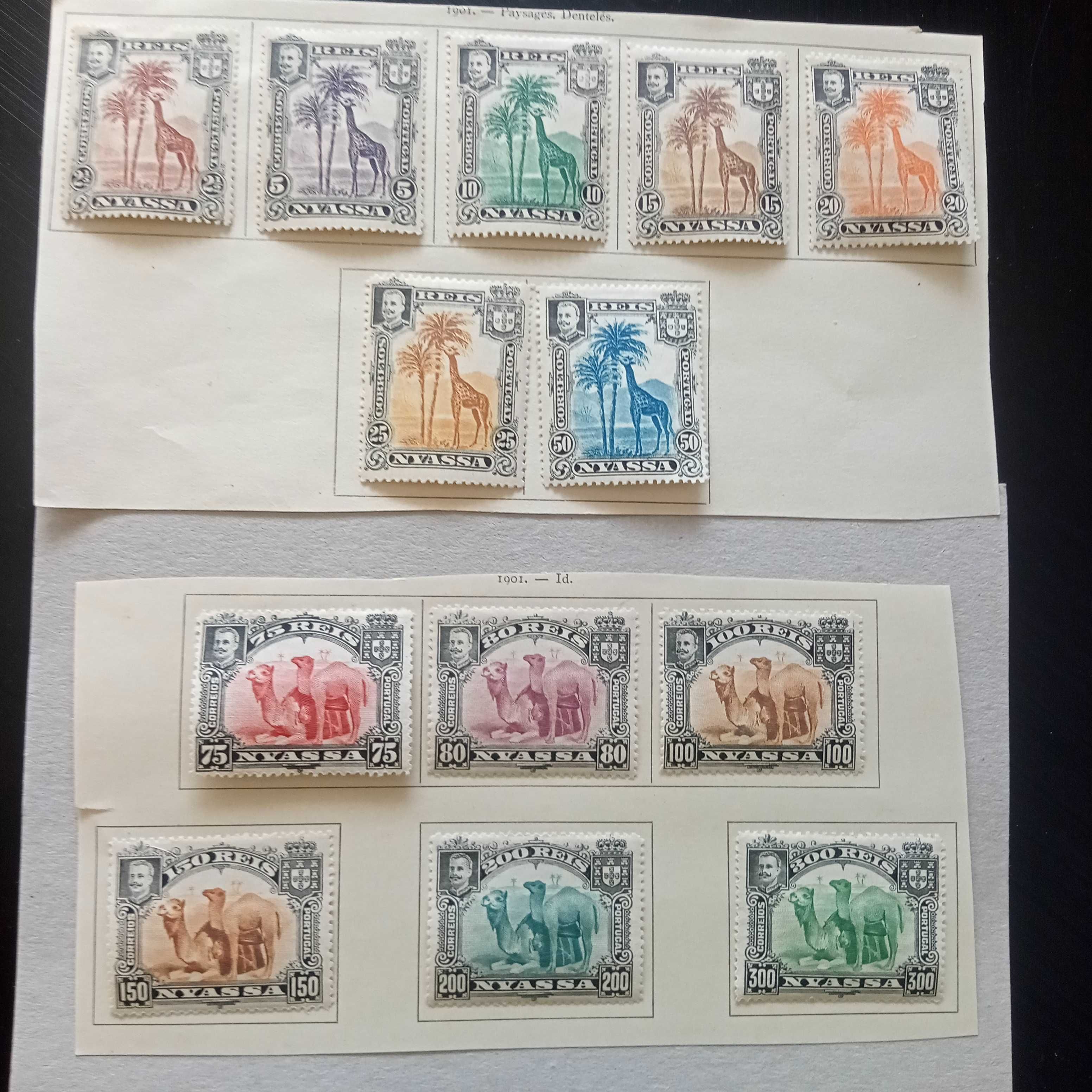 NYASSA denteado 13,5 e 15