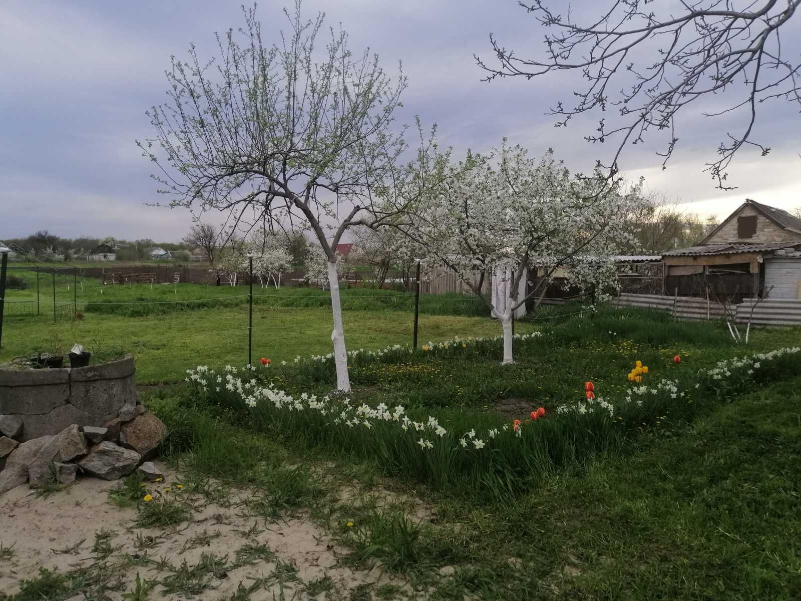 Будівля з великою ділянкою