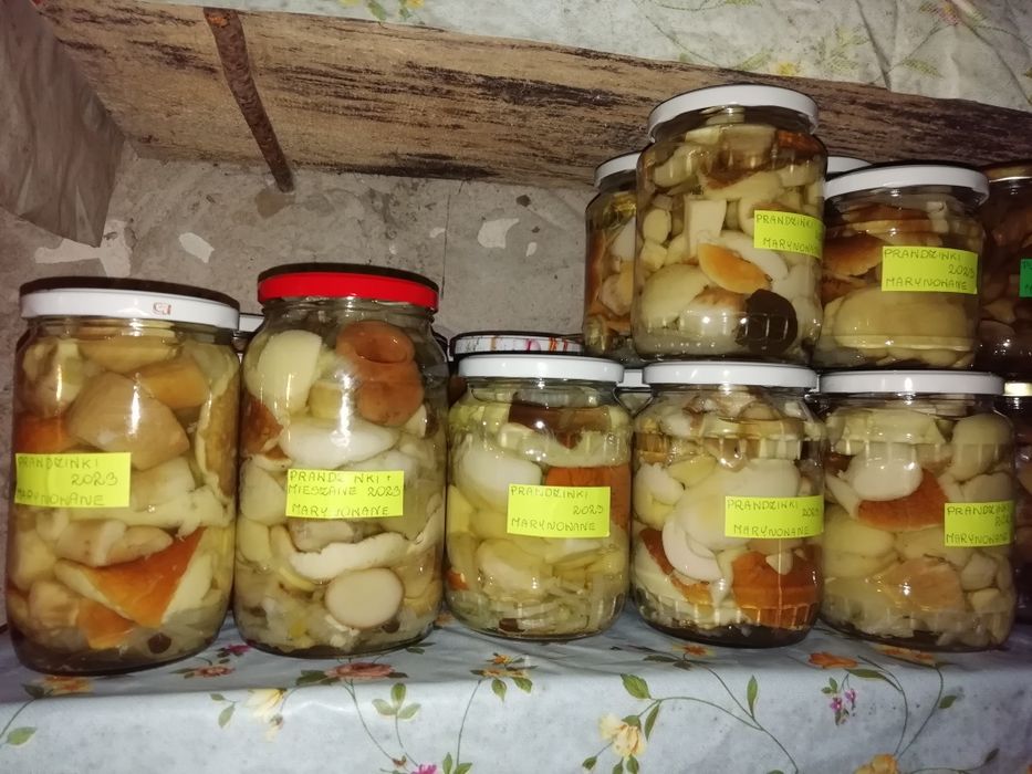 Prawdziwki podgrzybki kozaki