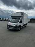 Fiat Ducato Chlodnia