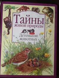 Книга "Тайны живой природы"