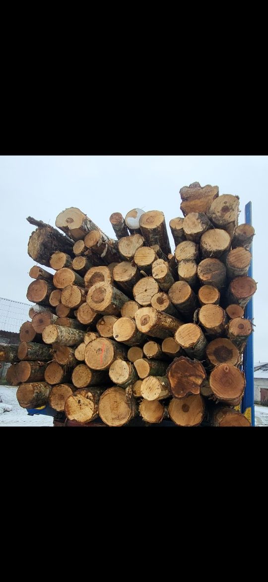 Drewno opałowe w wałku 2.5m
