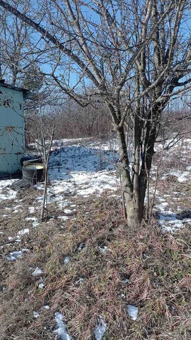 Терміновий продаж! 8 соток землі! Давидківці!