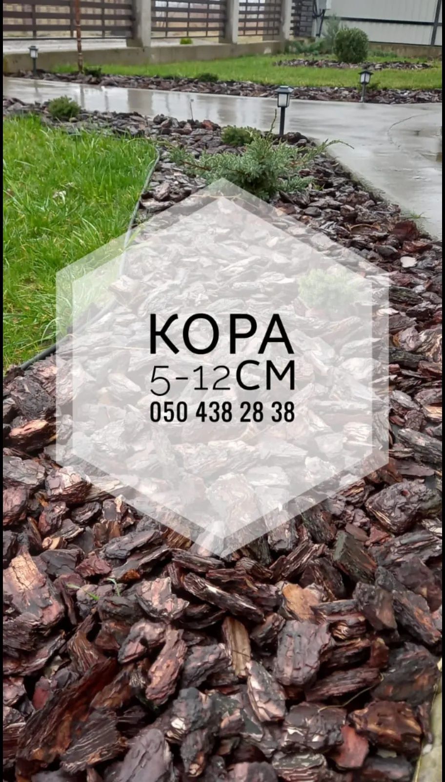 Кора соснова . Виробник. Кора різна фракція