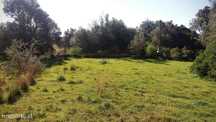 Terreno com Ruína em Moncarapacho