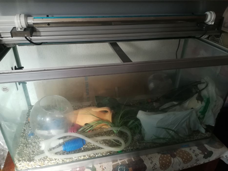Aquário 180L Jebo