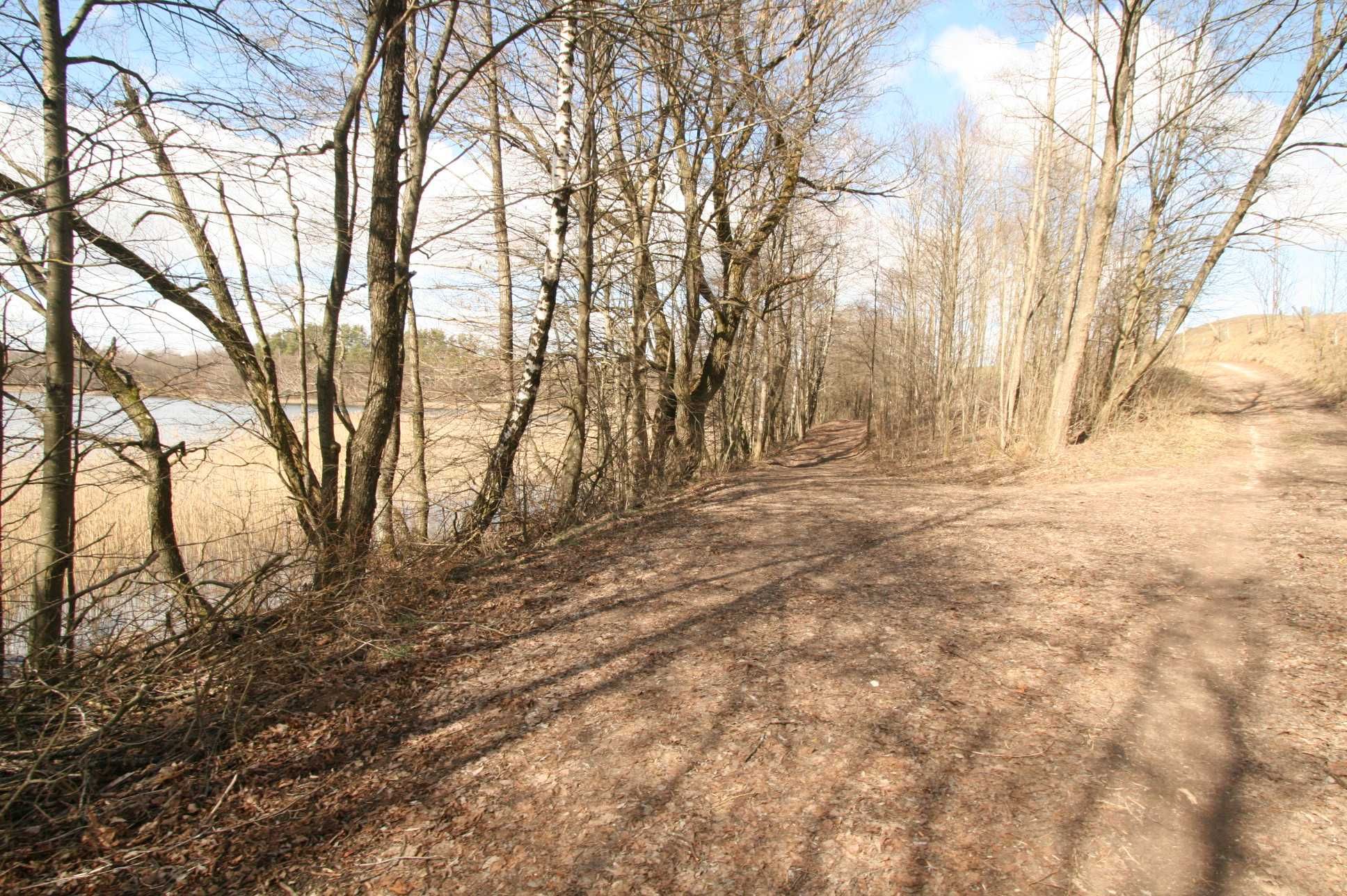 Bezpośrednio nad jeziorem Szurpiły, 11 ha, Suwalski Park Krajobrazowy