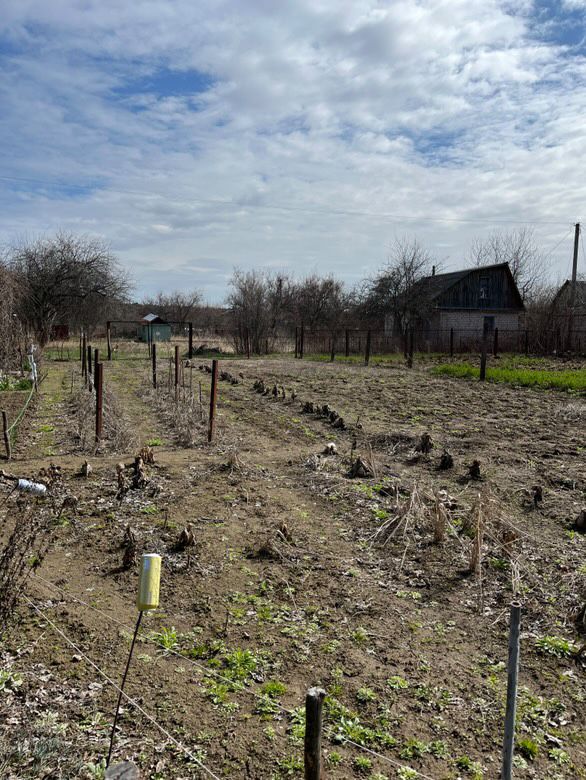 Продається дача біля Чернігова(Рівнопілля)