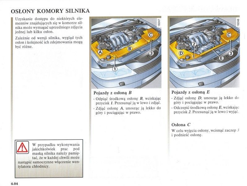 Renault LAGUNA II, instrukcja obsługi, 250 stron