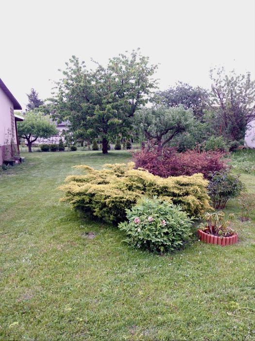 Ogróek działkowy z widokiem na Góry Złote - Złoty Stok - 750m2