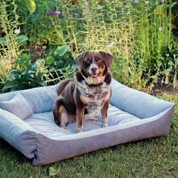 Przytulne legowisko dla psa TEO (100x80 cm, Szary)