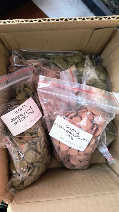 tabletki dla ryb dennych na płatki dla większości zamienię