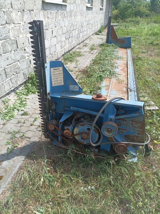 Ріпаковий стіл..