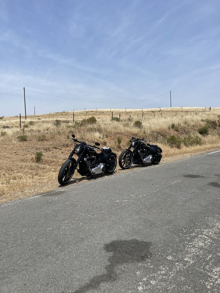 Harley davidson breakout