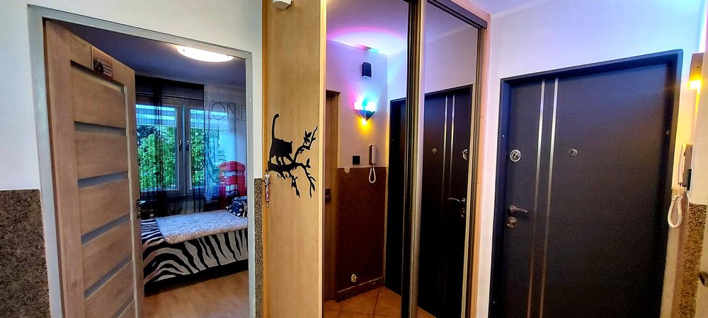 Wynajmę jednoosobowy pokój od grudnia

W mieszkaniu