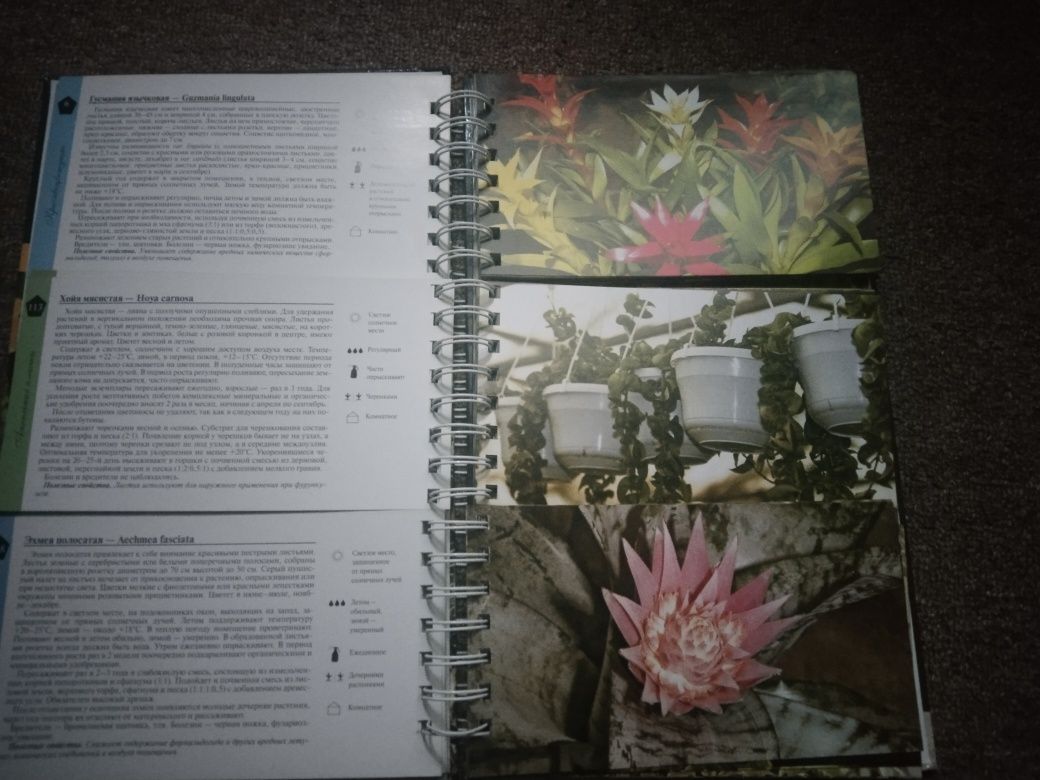 Книга про домашні рослини квіти