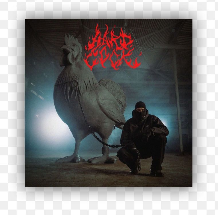 Bardal hardcock rów babicze preorder