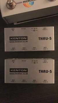 Splitter midi Kenton Kenton Midi Thru-5