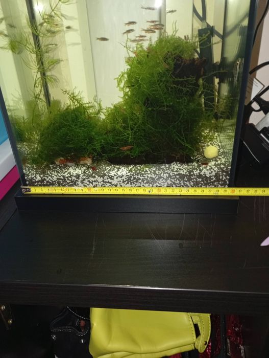 Vendo Aquários cubos