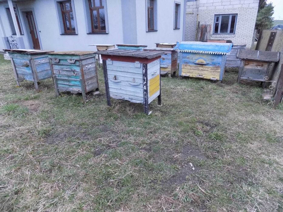 Продам бджолосім*ю..