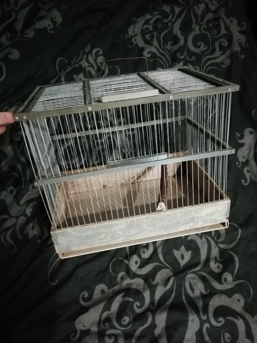 Клітка для птахів та гризунів