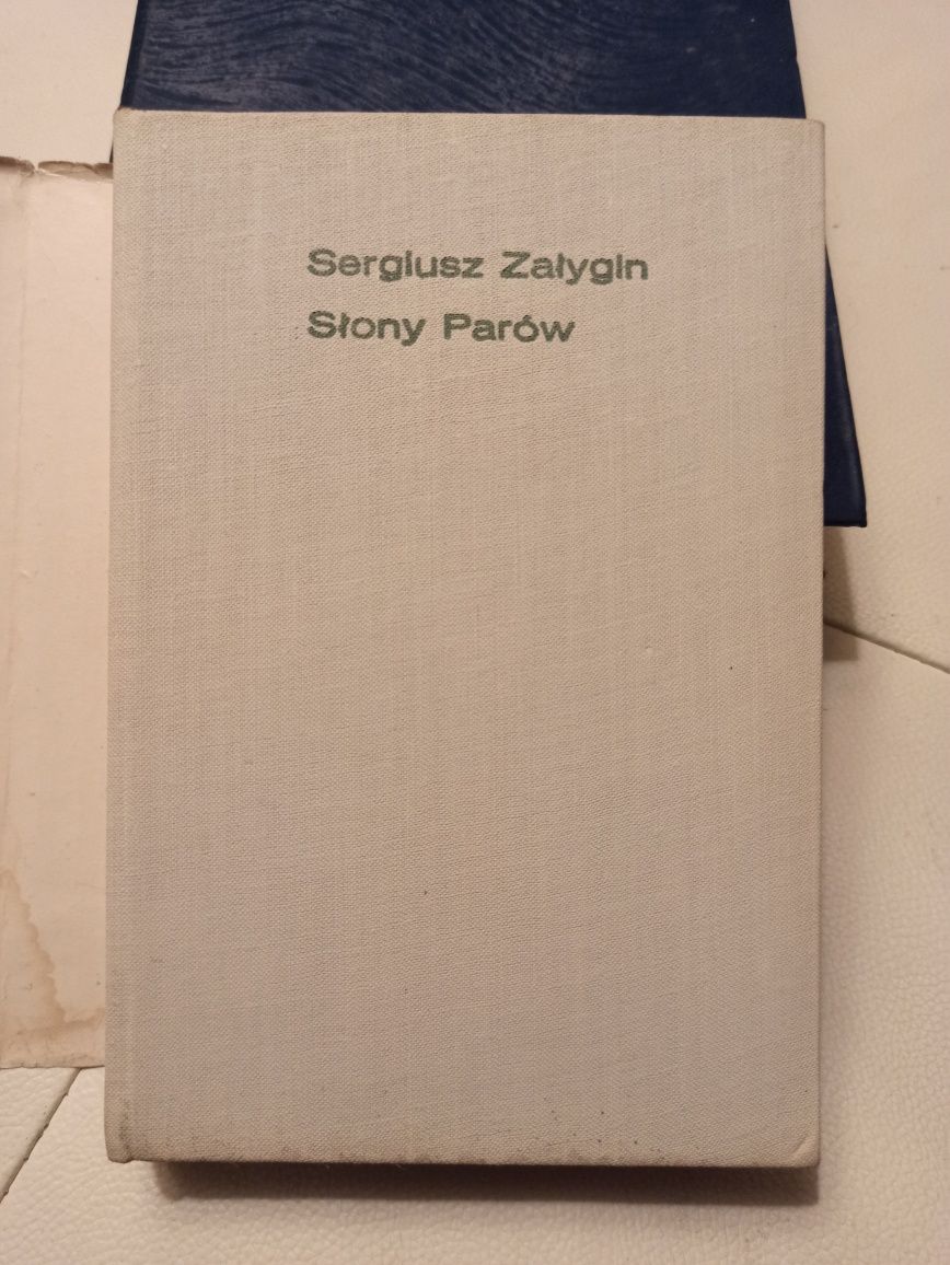 Załygin słony parów