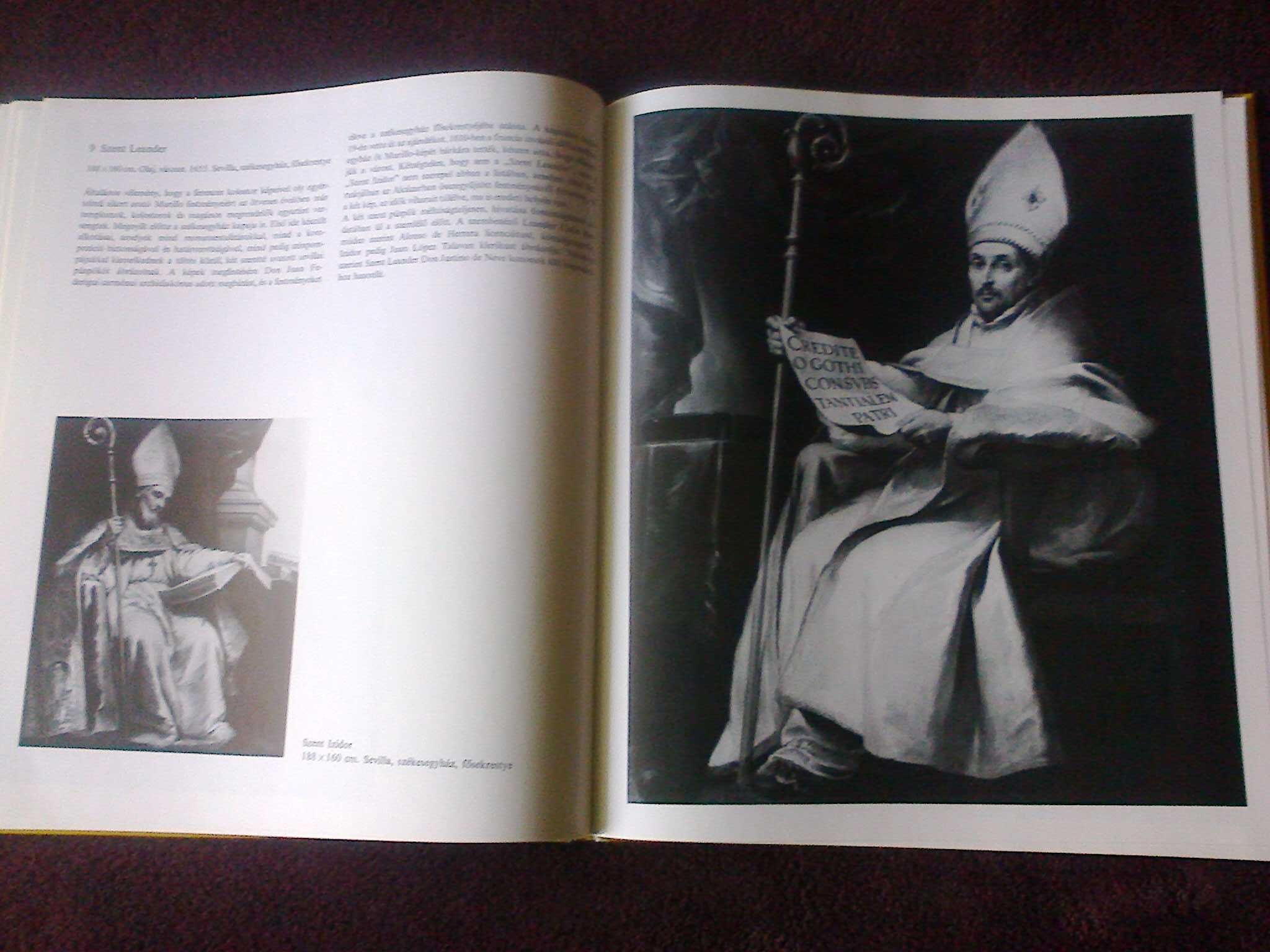 Книга на венгерском Murillo