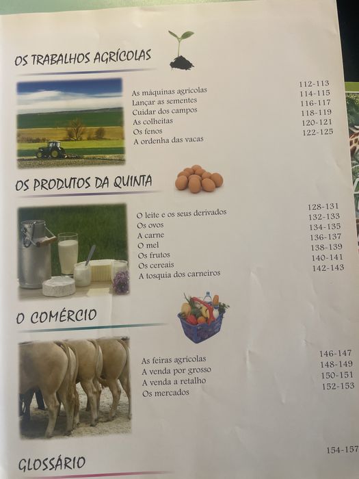 Tudo sobre a Quinta