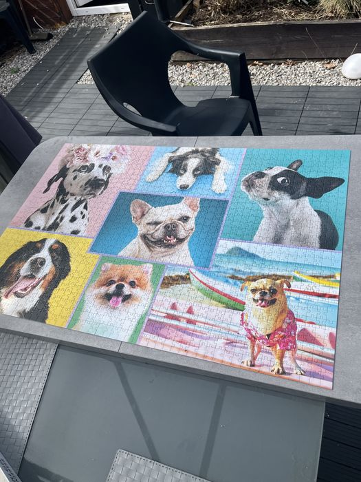 Puzzle rasy psów psy 1500 el Trefl buldożek chihuahua border berneńczy