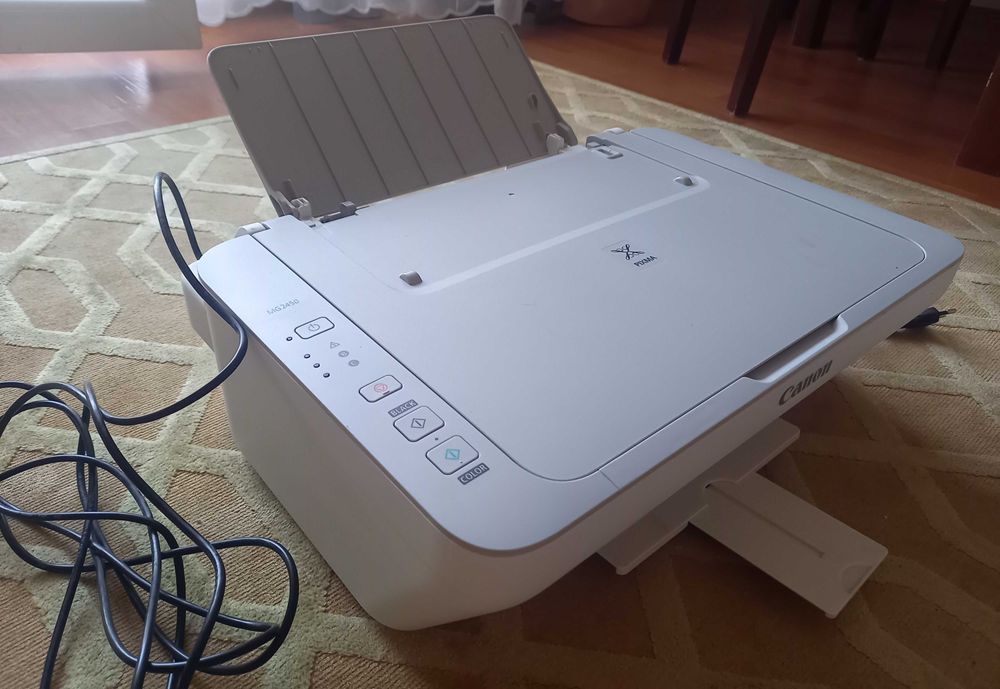 Drukarka Canon MG2450