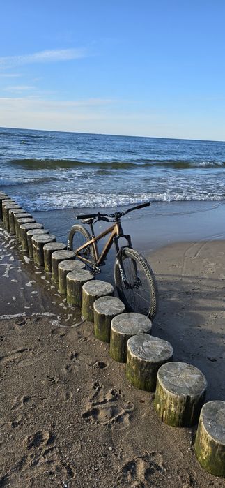 Rose the bruce 2 na pike doinwestowany