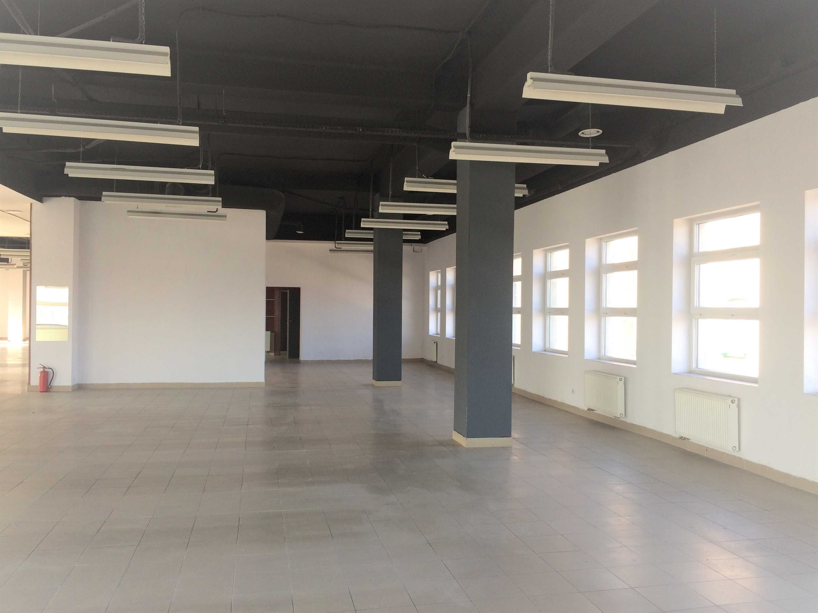 Lokal 600 m2 centrum Pabianic - Galeria Pabianicka