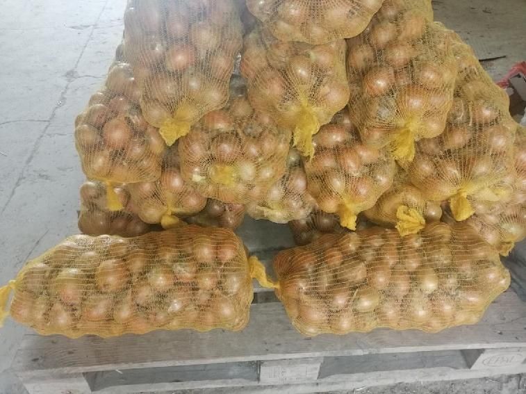 Cebula grubsza oraz drobniejsza
