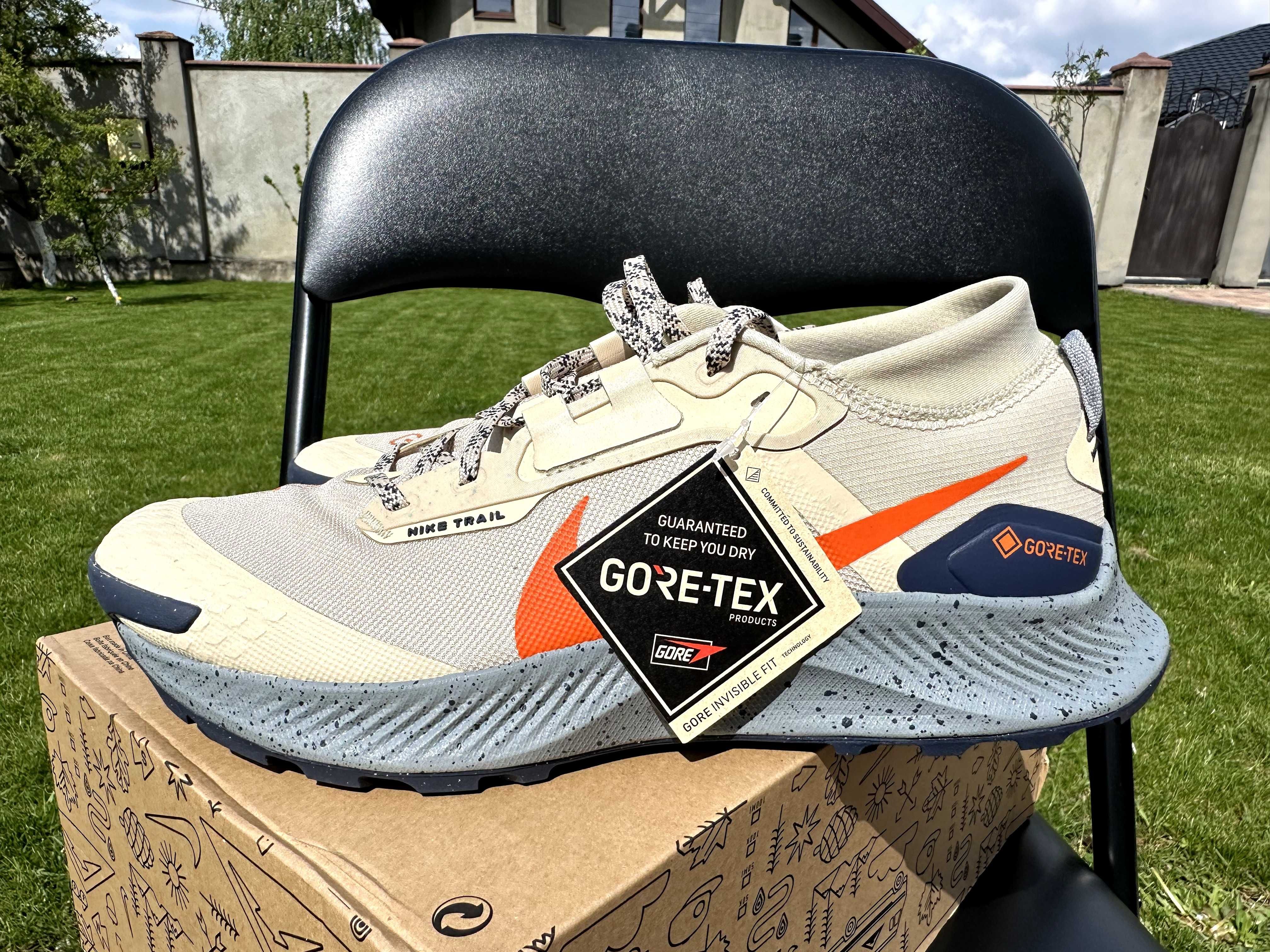 Кросівки NIKE PEGASUS TRAIL 3 GTX Beige DC8793-200