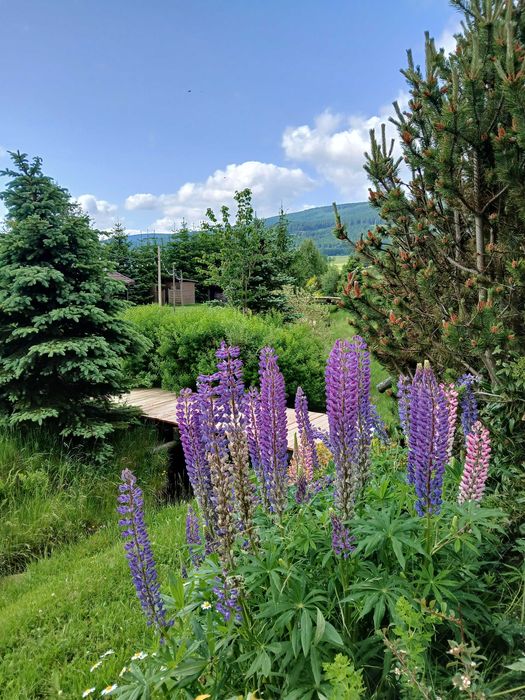 Noclegi Zieleniec, Czarna Góra