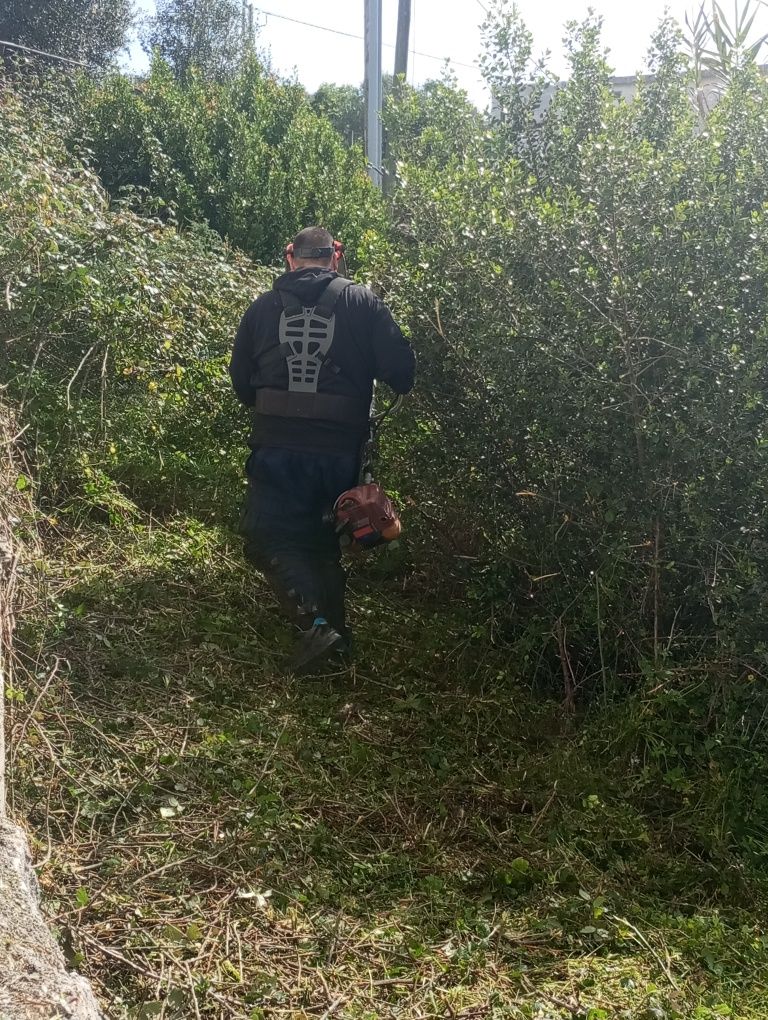 Serviço de roçadora limpeza de terrenos e motocultivador tractor