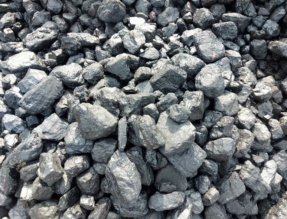 Węgiel orzech Polski Staszica